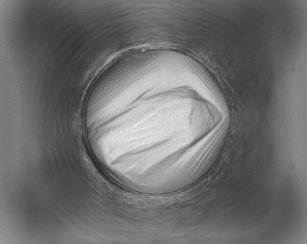 X0000052960002200507300123