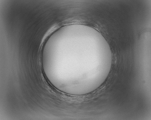 X0000052960004200507300123