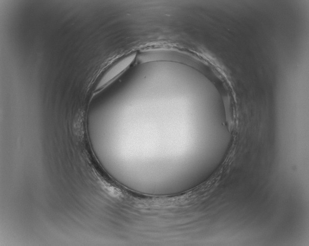 X0000052960009200507300123