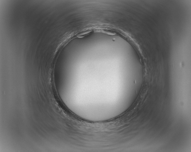 X0000052960010200507300123