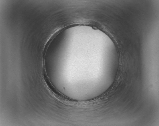 X0000052960011200507300123