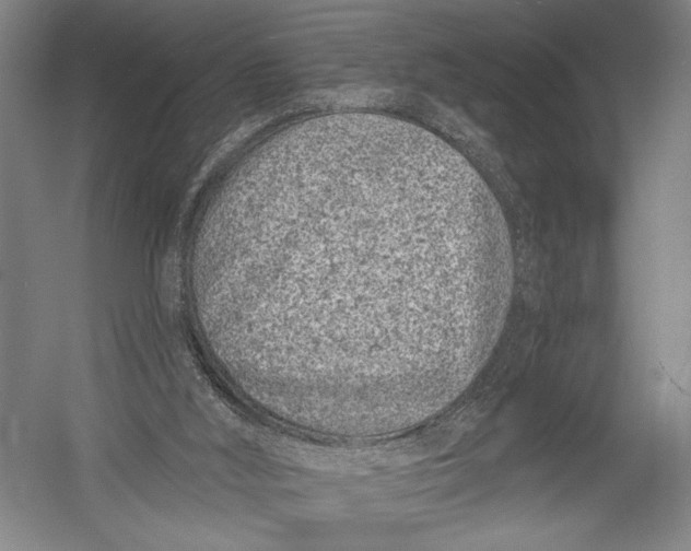 X0000052960012200507300123