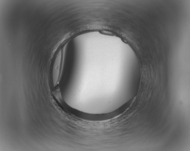 X0000052960015200507300123