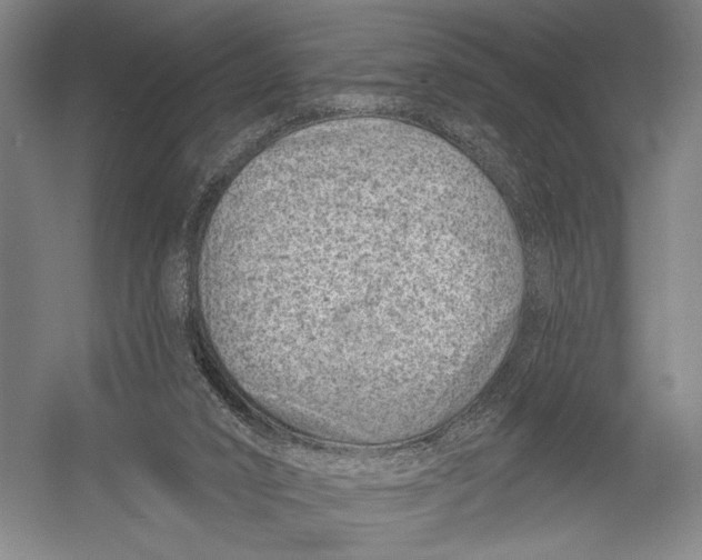 X0000052960016200507300123