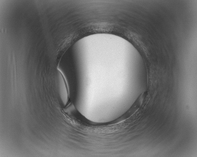 X0000052960017200507300123