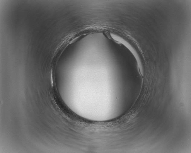 X0000052960020200507300123