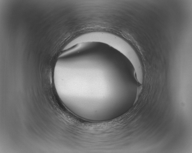 X0000052960021200507300123