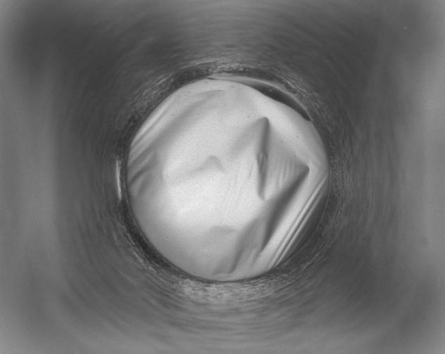 X0000052960022200507300123