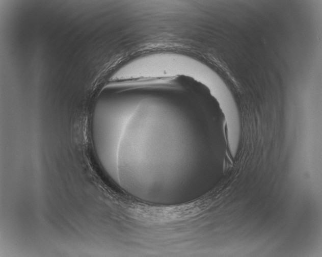 X0000052960023200507300123