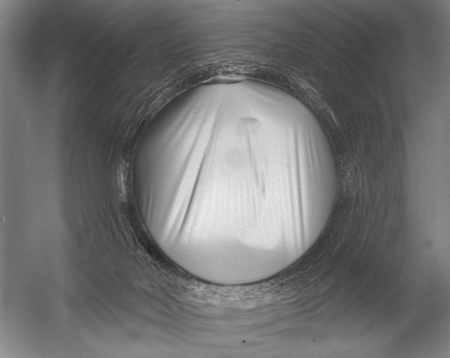 X0000052960026200507300123