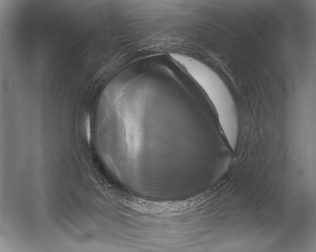 X0000052960027200507300123