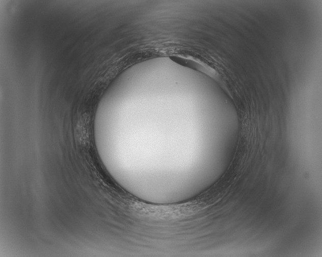 X0000052960030200507300123