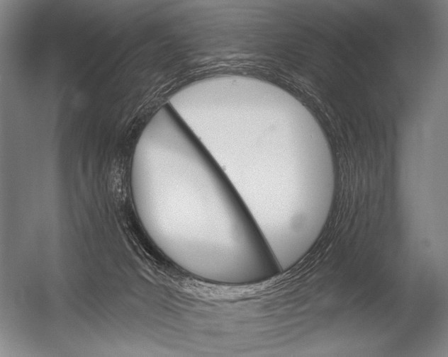 X0000052960031200507300123