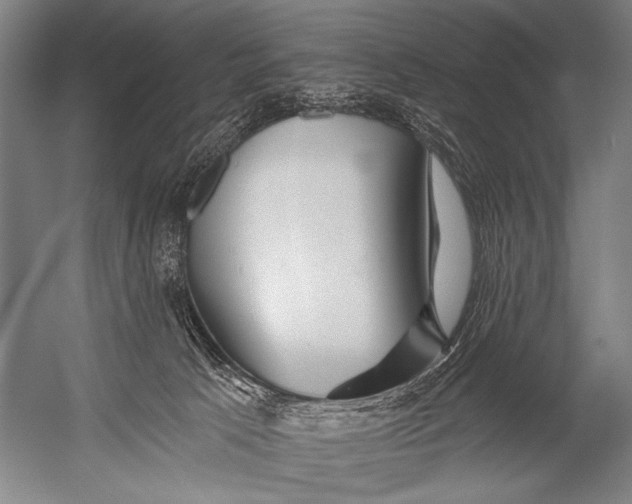 X0000052960033200507300123