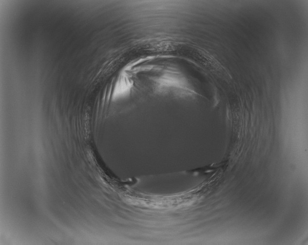 X0000052960035200507300123