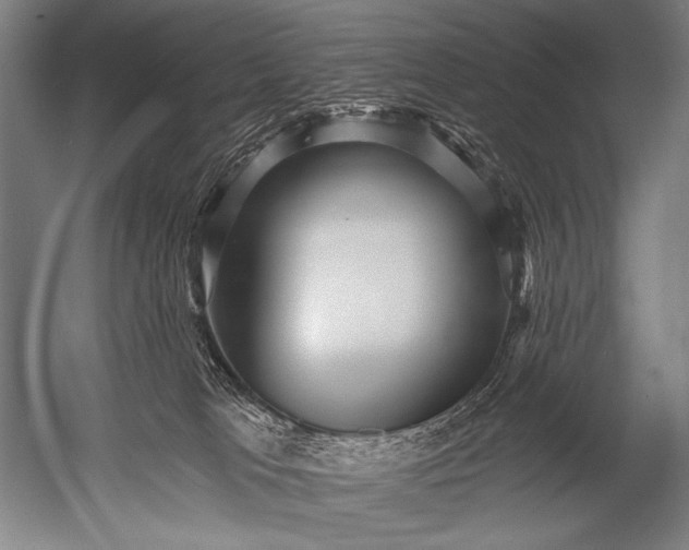 X0000052960037200507300123