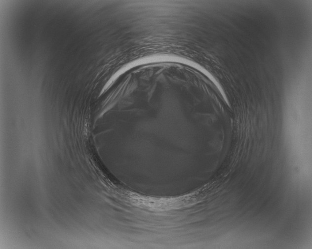 X0000052960039200507300123