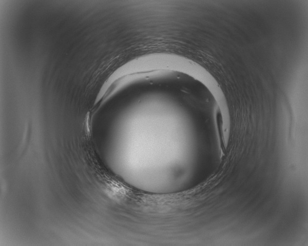 X0000052960041200507300123