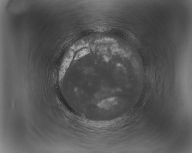 X0000052960043200507300123