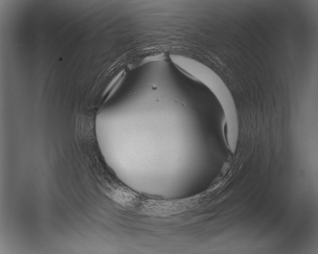 X0000052960045200507300123