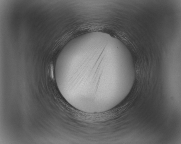 X0000052960046200507300123