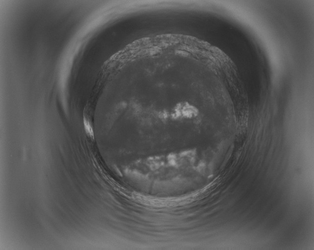 X0000052960047200507300123