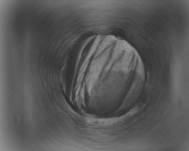 X0000052960048200507300123