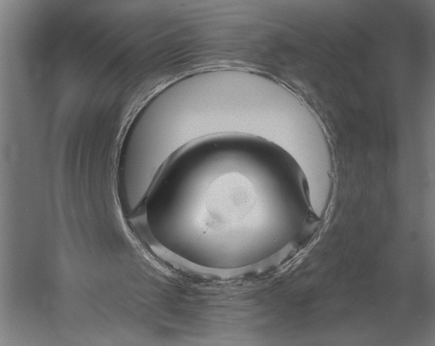 X0000052960049200507300122