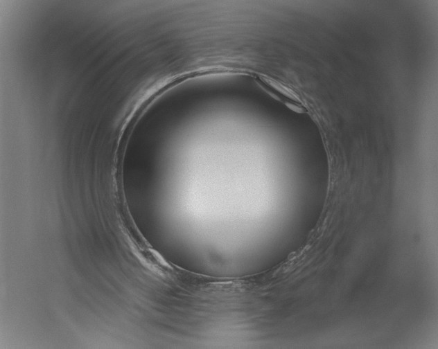X0000052960050200507300122