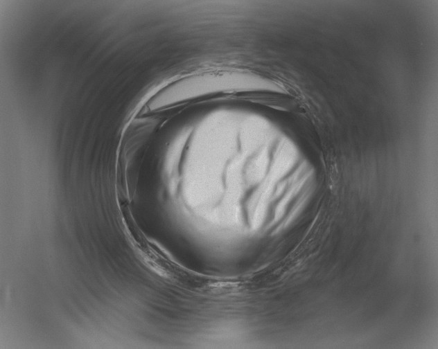 X0000052960052200507300122