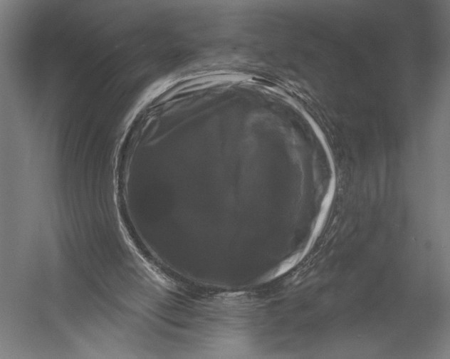 X0000052960054200507300122