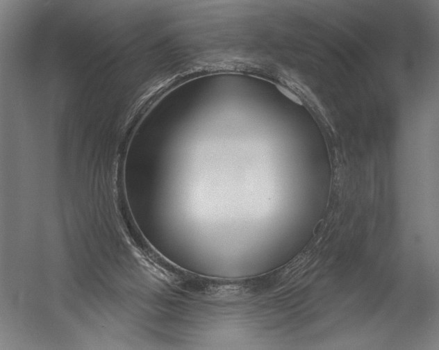 X0000052960058200507300122