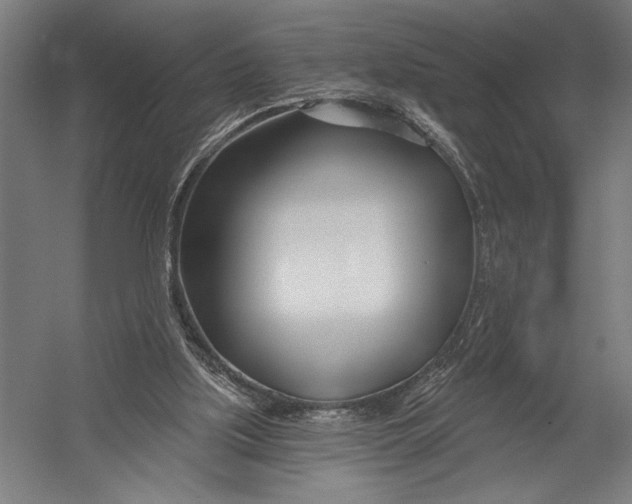 X0000052960059200507300122