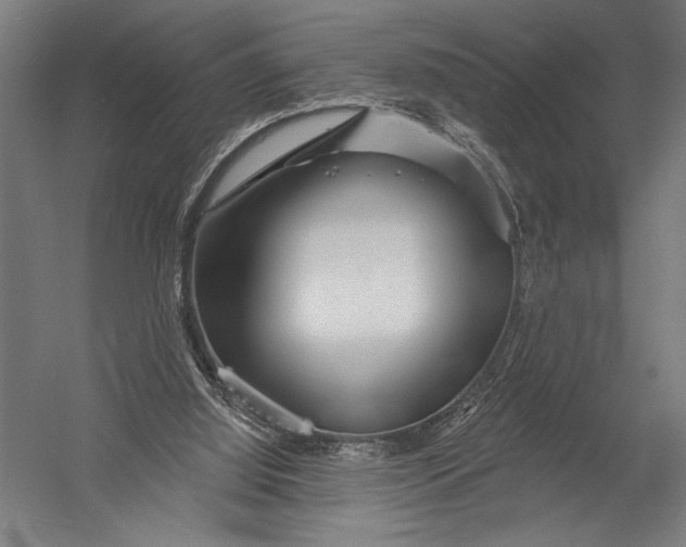 X0000052960060200507300122