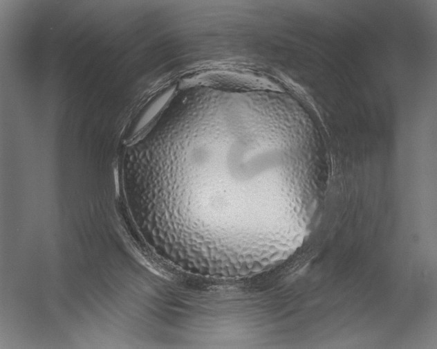 X0000052960061200507300122