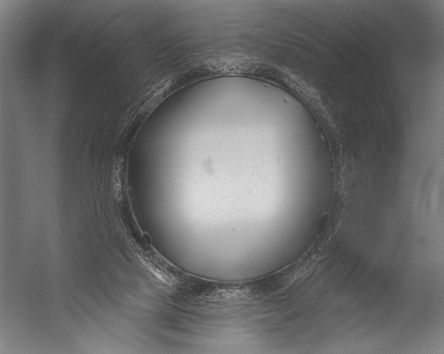 X0000052960065200507300122