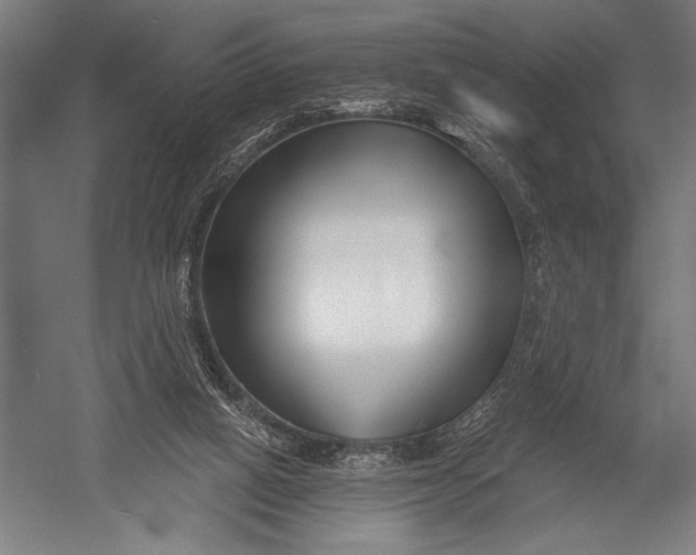 X0000052960066200507300122