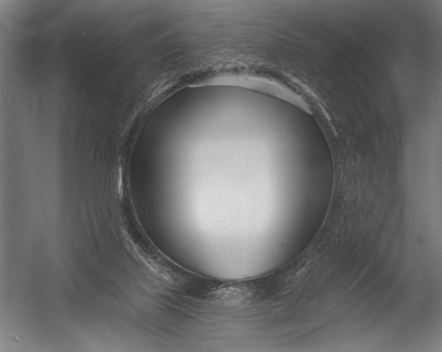 X0000052960067200507300122