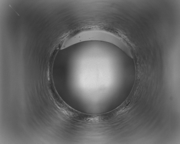 X0000052960068200507300122