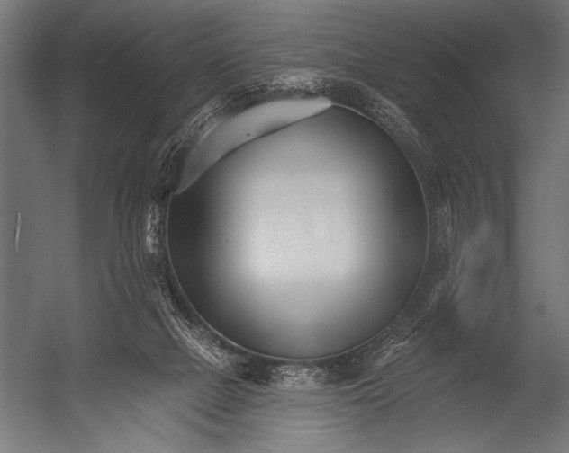 X0000052960073200507300122