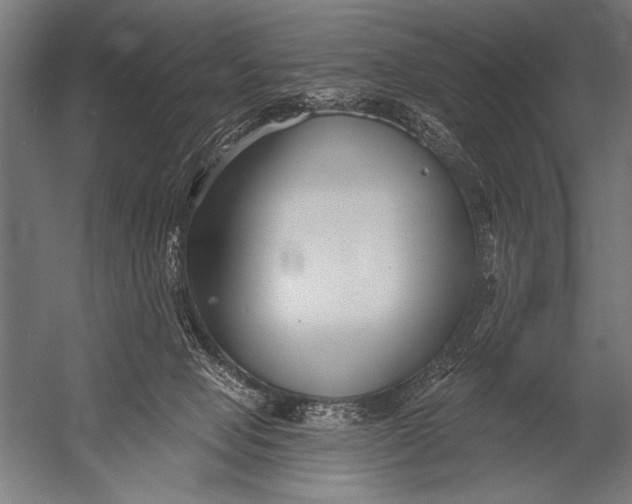 X0000052960077200507300122