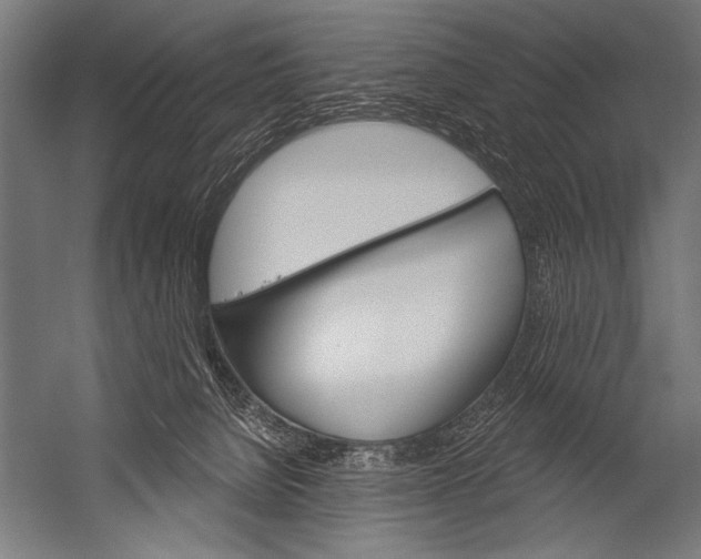 X0000052960080200507300122