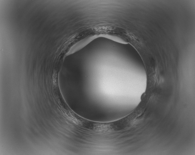 X0000052960081200507300122