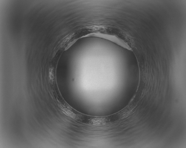 X0000052960085200507300122
