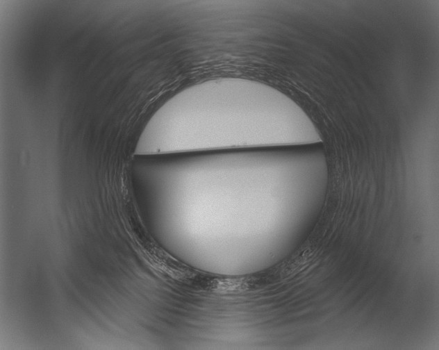 X0000052960088200507300122
