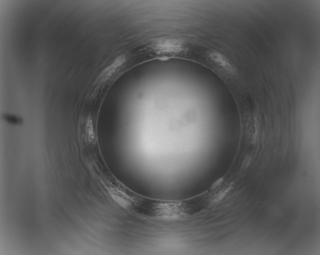 X0000052960089200507300122