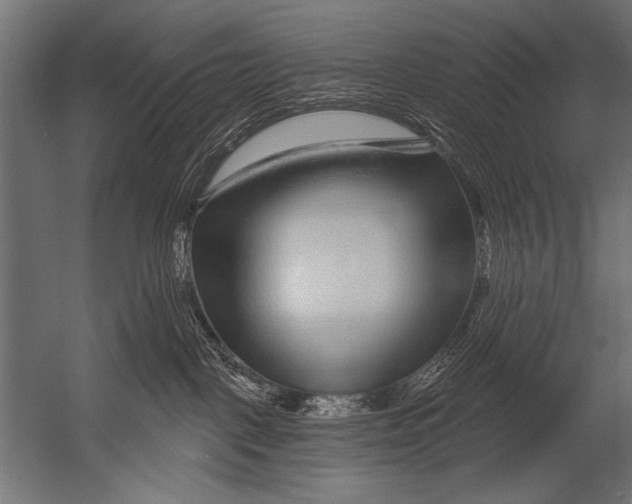 X0000052960093200507300122