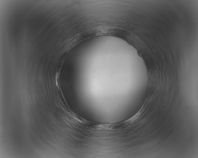 X0000052960094200507300122
