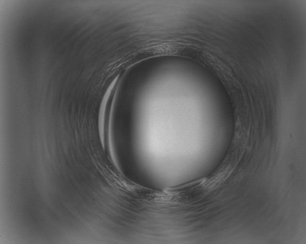 X0000052960096200507300123
