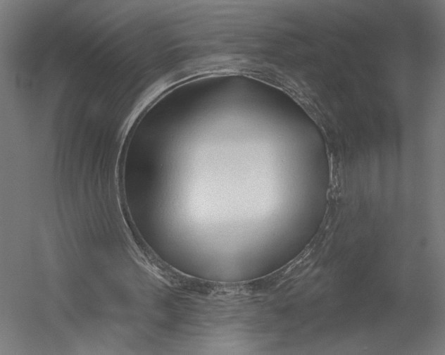 X0000052960099200507300122